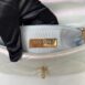 Used in Very Good Condition Chanel 19 Size 26 Iridescent Calfskin Holo31 Full Set 20