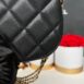 Used Like New Chanel Hobo Bag Caviar Microchip Full Set 11