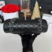 Used Like New Chanel Classic 9” Shw Microchip Full Set 15