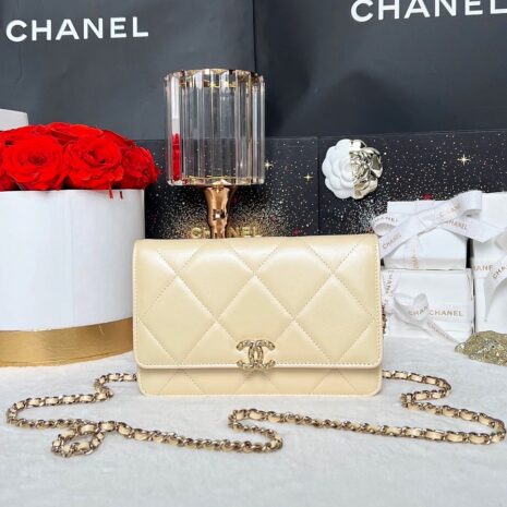 New Chanel Woc Limited Microchip Full Set 1