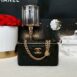 Used in very good condition Chanel Vanity Box Lambskin Microchip Full Set 1