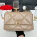 Used Like New Chanel 19 Size 26 Cappuccino Lambskin Holo31 Full Set 2