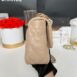 Used Like New Chanel 19 Size 26 Cappuccino Lambskin Holo31 Full Set 5