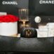 Used Like New Chanel Classic 9” Caviar GHW Holo30 Full Se no receipt มีใบตรวจ 15